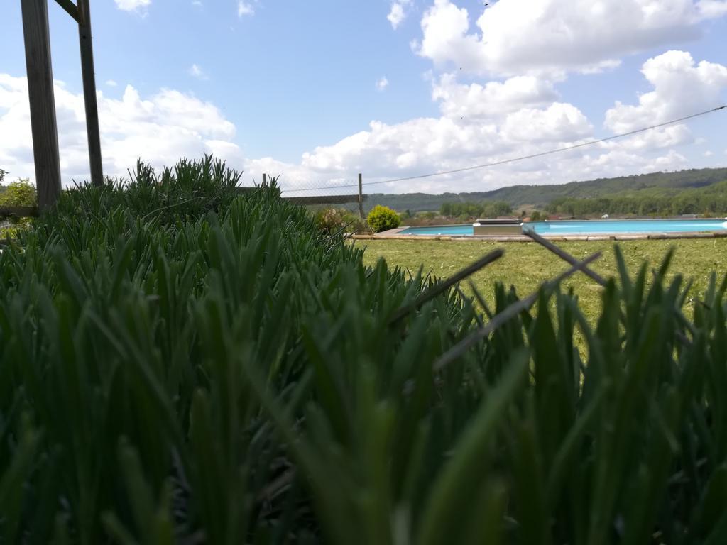 Villa La Guionie Montignac-Lascaux Esterno foto